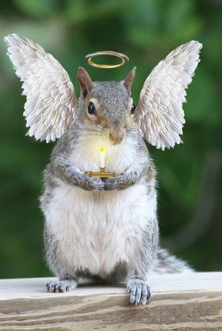 Екатерина Фролова