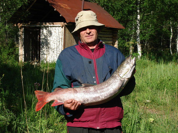 Владимир Исаченко