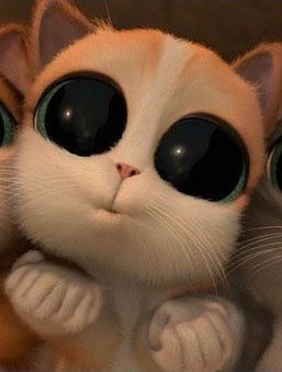 Роман Тимофеев