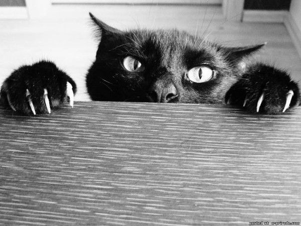 Алекsандр *sad*