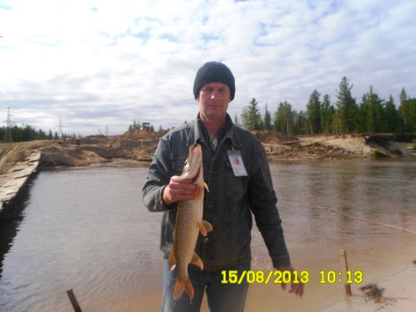 Андрей Ткаченко