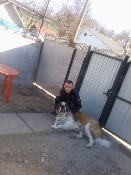 Александр Бабич