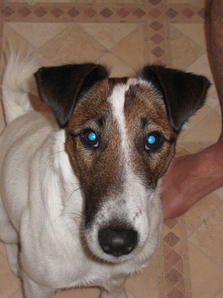 Оксана Левченко