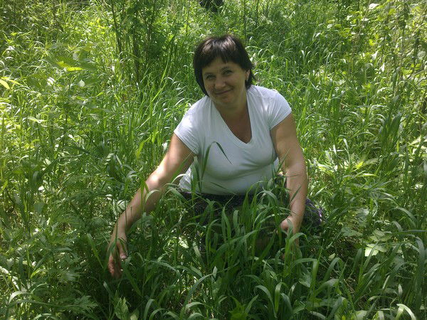 Наталья Золотых