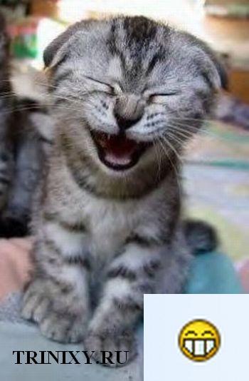 Анастасия Хрисанкова