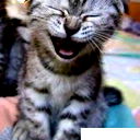 Анастасия Хрисанкова