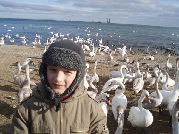 Сергей Михайлов