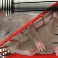 Даня Бугаев