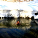 Евгений Никчемный