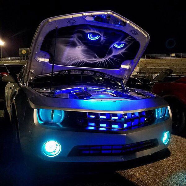 Валерий Цой