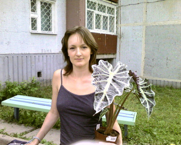 Анастасия Смирнова