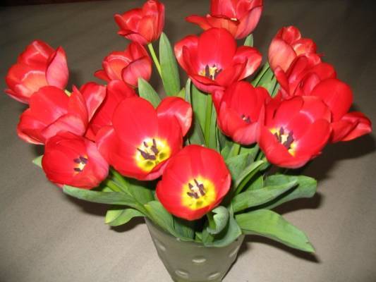 Виктория Жеребнова