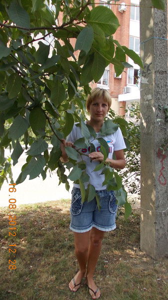 Натали Аникина