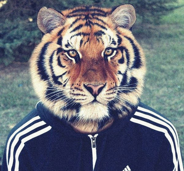 Сергей Коростелев