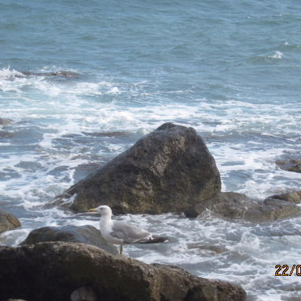 Светлана Харабара