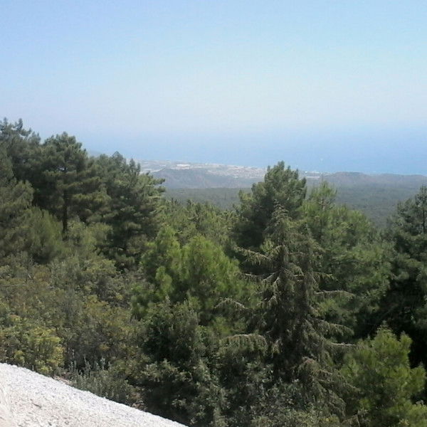 Сергей Воронцов