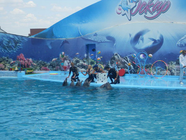 Анатолий Надтока