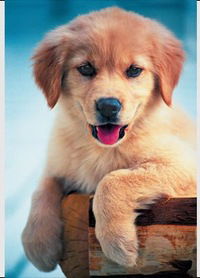 Замира Исхакова