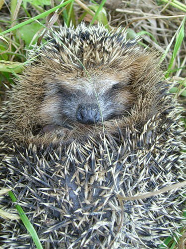 Мария Мартемьянова