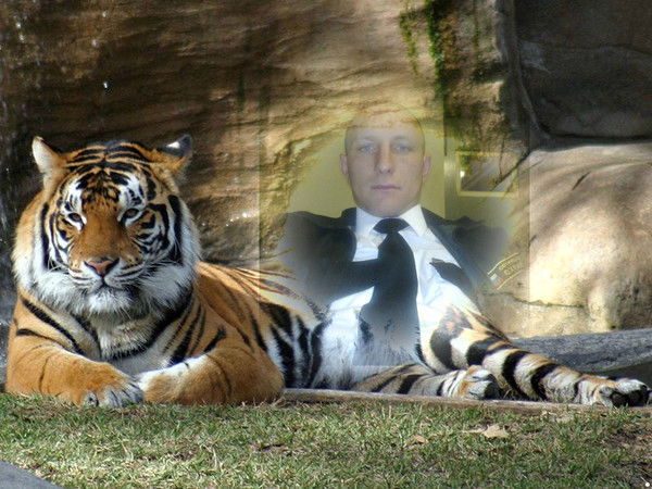 Денис Тарарков