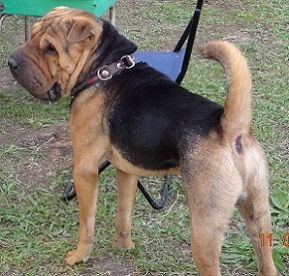 Анна Митрофанова