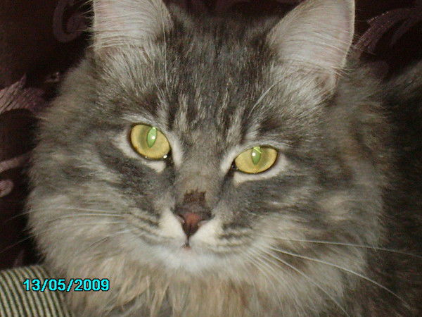 Жанна Кардашина