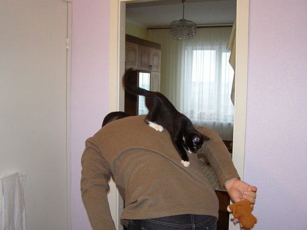 Федор Брюханов