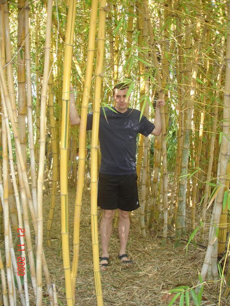 Вячеслав Клюшин