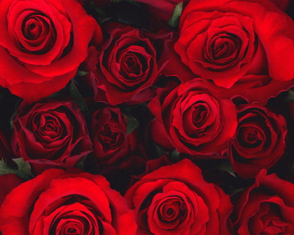 Ирина Иутинская