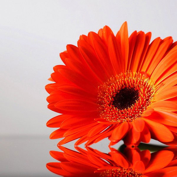 Анна Бакулина