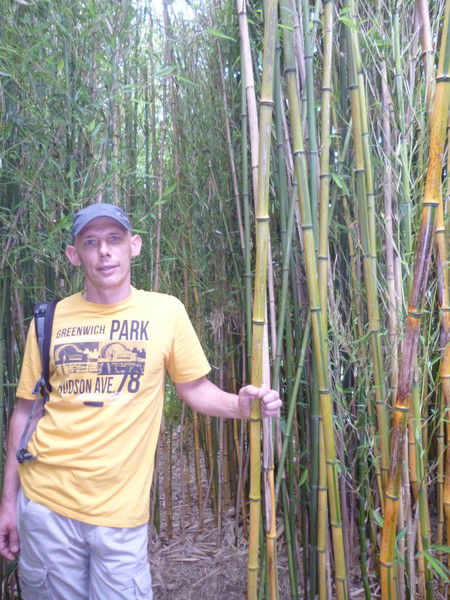 Александр Шлядт