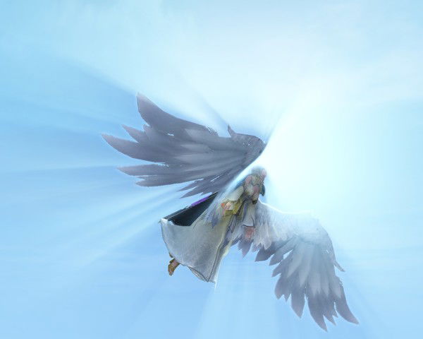 Нъяко Сенсей