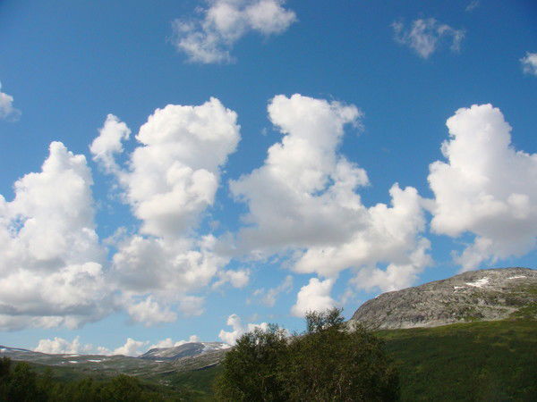 Лилия Арутюнова