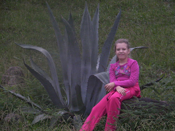 Алина Волошина