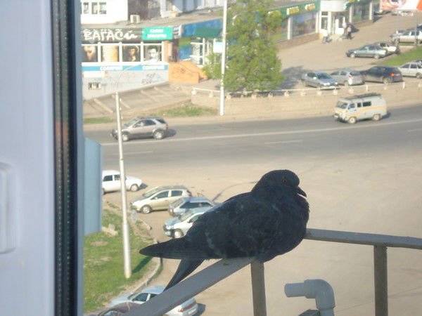 Алия Язданова