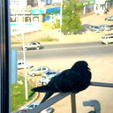 Алия Язданова