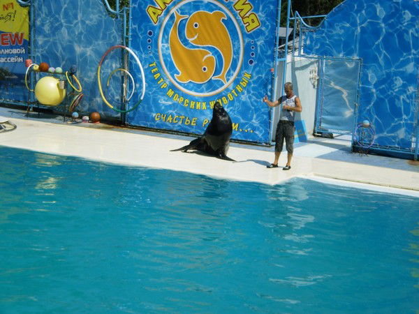 Александр Погребенко