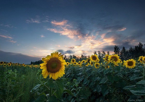 Бухгалтерия Бузулук