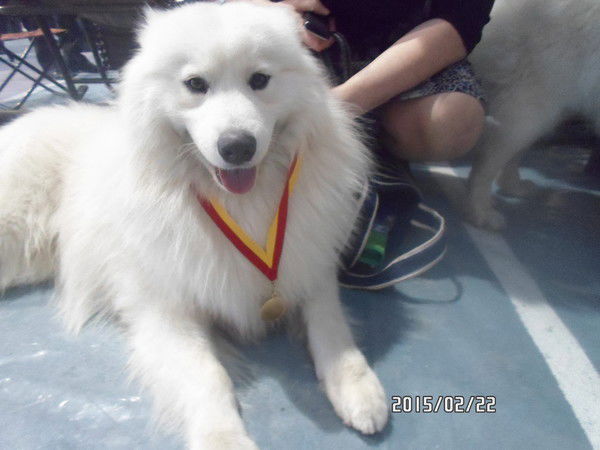 Татьяна ...якименко