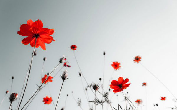 Анюта Баран