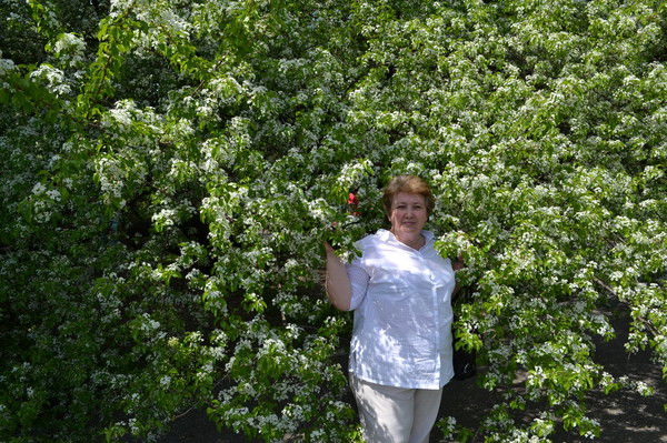 Светлана Бронич Воловиченко