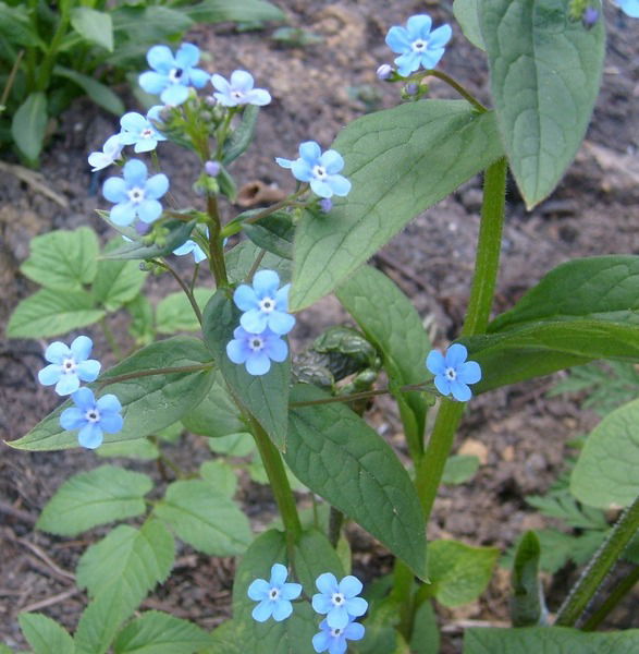 Евгения Иванова