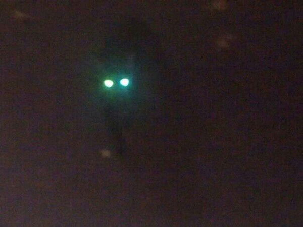 Сергей Гусев