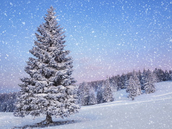 Иван Иваныч