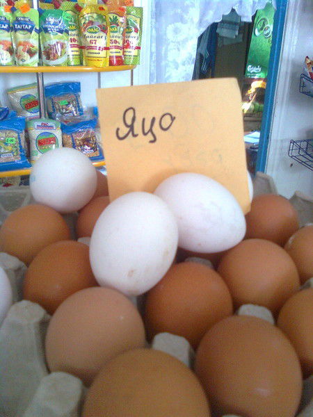 Виталик Громов