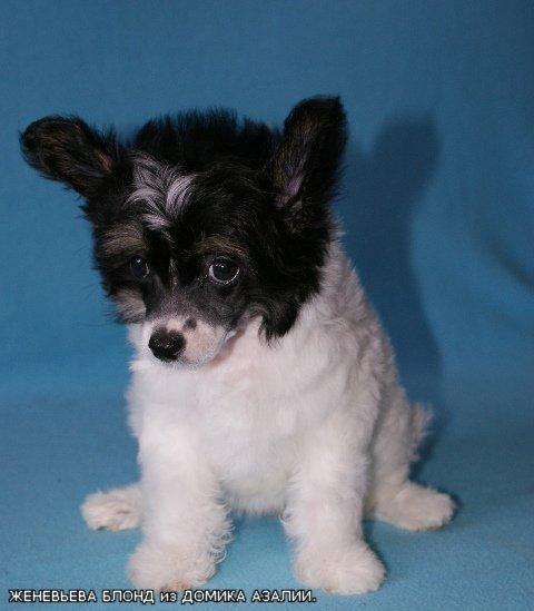 Оксана Назарова (Зф)