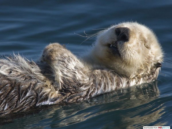 Владимир Юдин