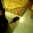 Степа Рыбальченко