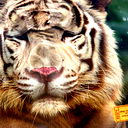 Серега Гузь