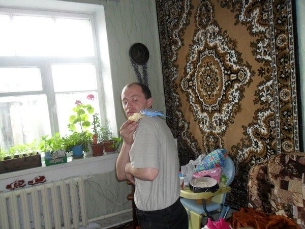 Николай Кузьмин